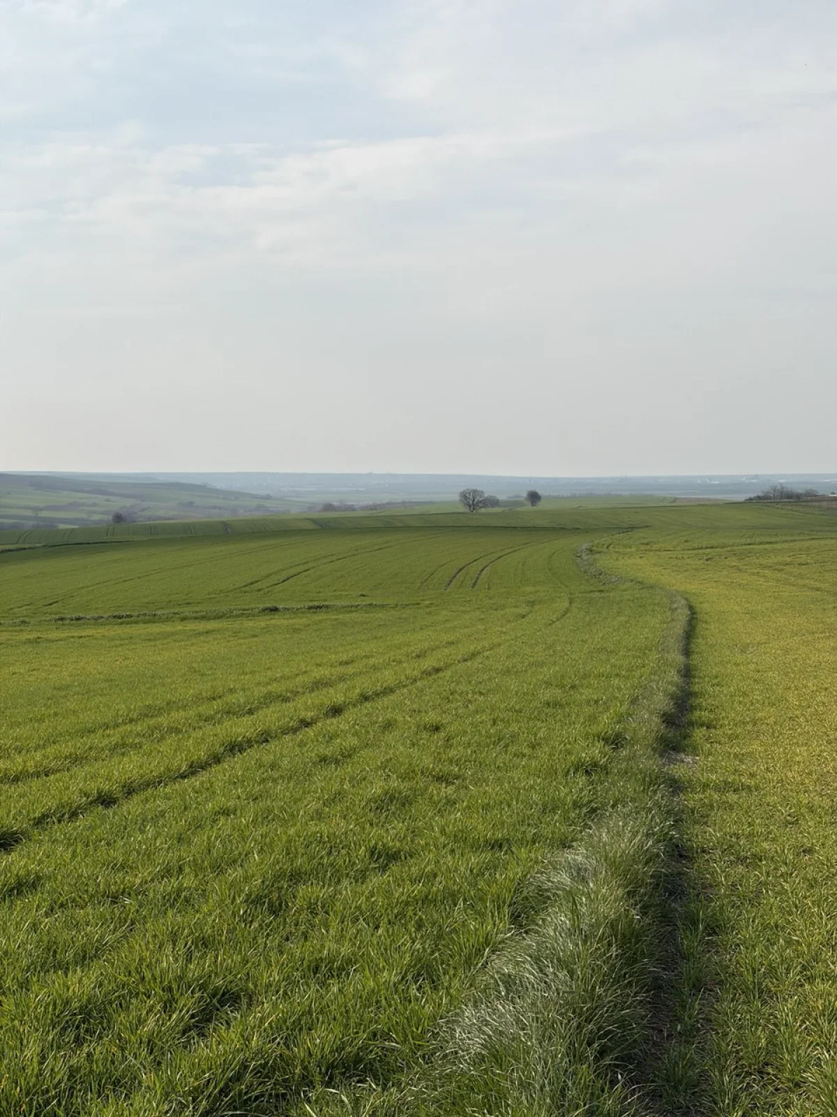 🚨 TEKİRDAĞ MURATLI BALABANLI'DA YATIRIMLIK DEV FIRSAT: 8.400 m&sup2; - Büyük 11
