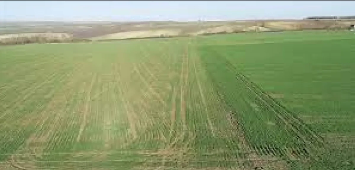 K&ouml;ye Yakın Tek Tapu 5.551 M&sup2; Satılık Tarla