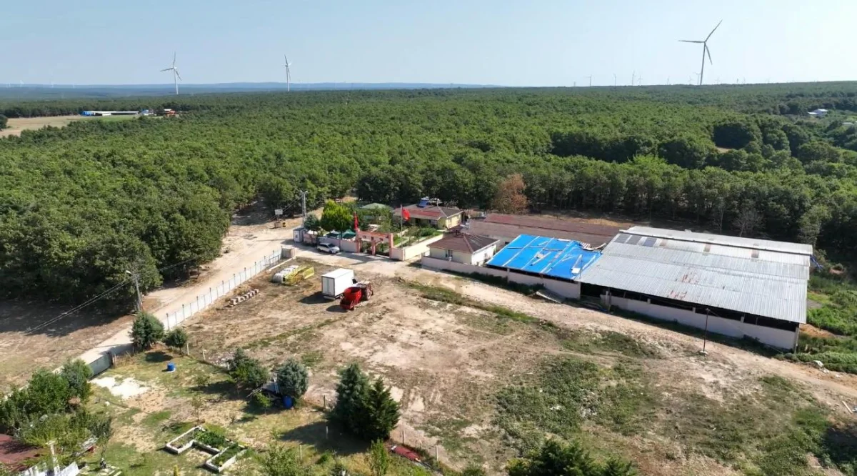 &Ccedil;ayırdere'de Ruhsatlı Satılık &Ccedil;iftlik - Büyük 7