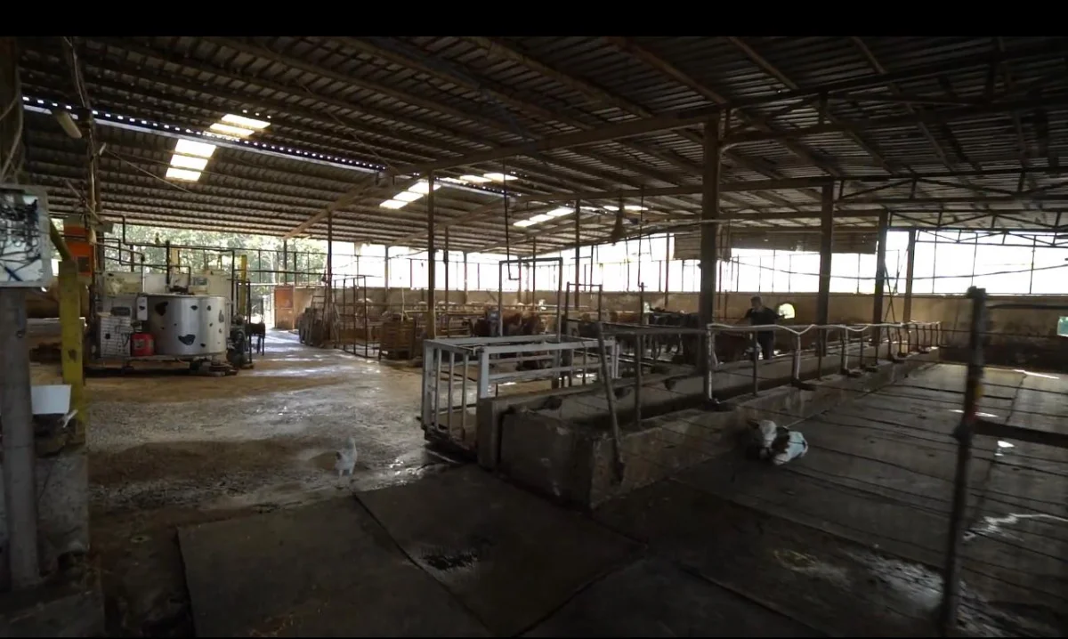 &Ccedil;ayırdere'de Ruhsatlı Satılık &Ccedil;iftlik - Büyük 8