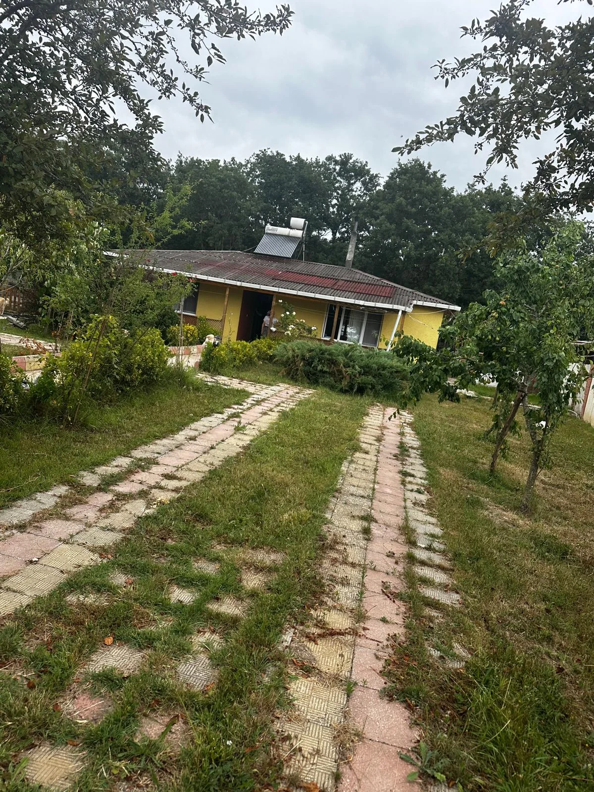 &Ccedil;ayırdere'de Ruhsatlı Satılık &Ccedil;iftlik - Büyük 11