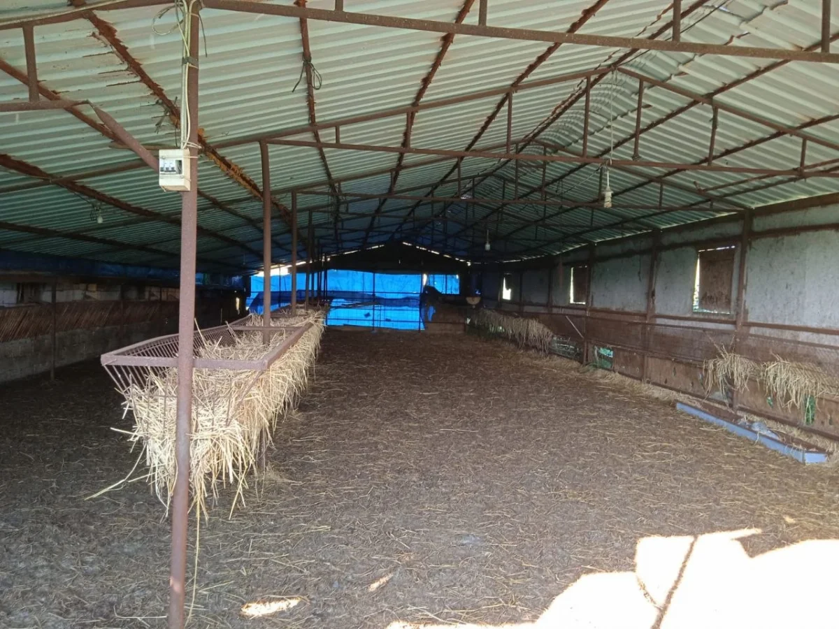 Hazır Kurulu Satılık &Ccedil;iftlik