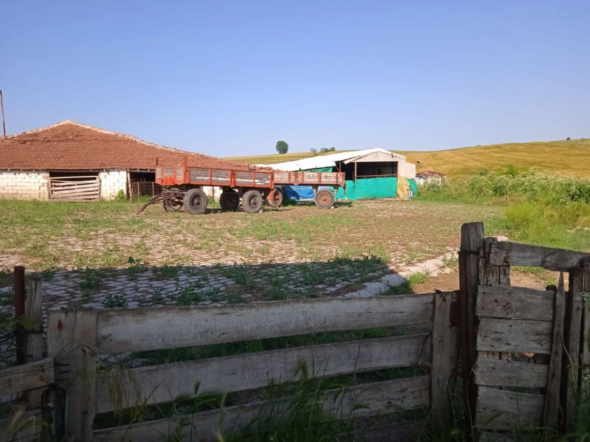 Hazır Kurulu Satılık &Ccedil;iftlik - Büyük 1