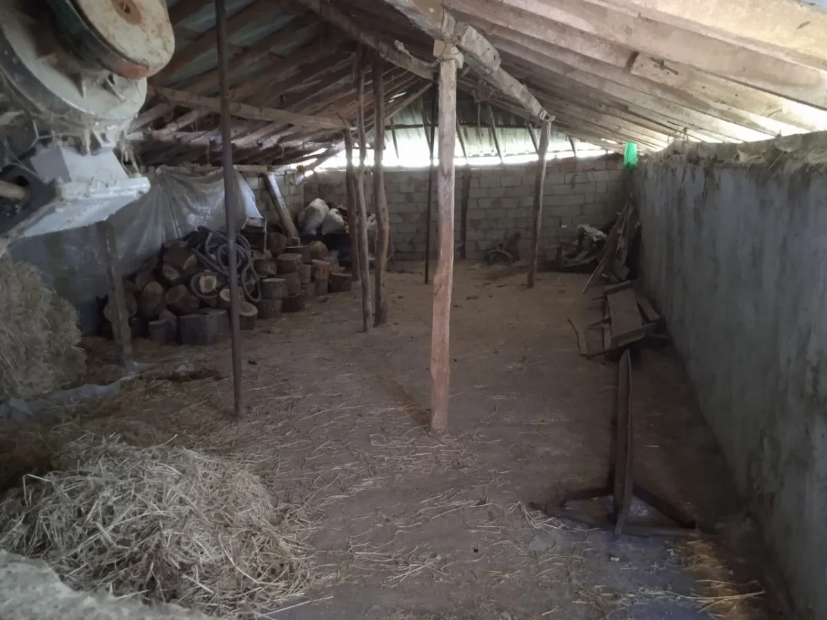 Hazır Kurulu Satılık &Ccedil;iftlik - Büyük 5