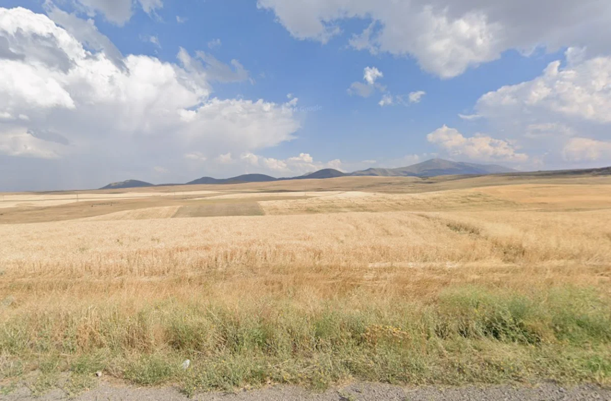Muş Bulanık Arakonak'ta 35 D&ouml;n&uuml;m Satılık Tarla