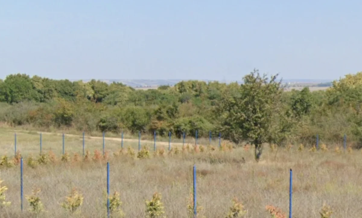 Kurtbey'de Satılık Tek Tapu Tarla