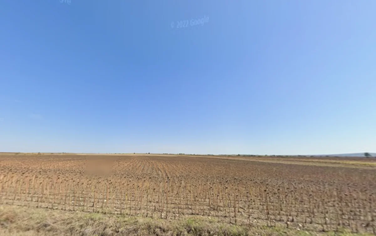 Kurtbey'de Satılık Tek Tapu Tarla