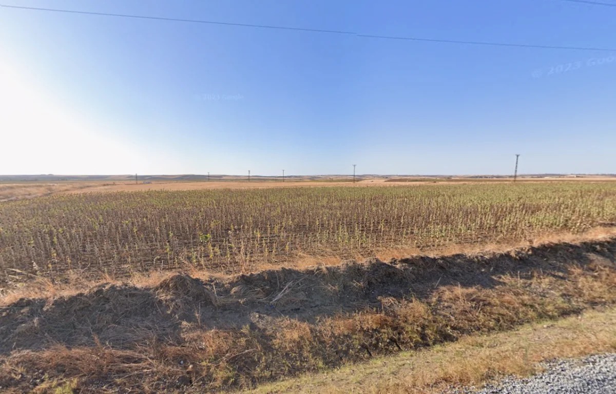 Kurtbey'de Satılık Tek Tapu Tarla