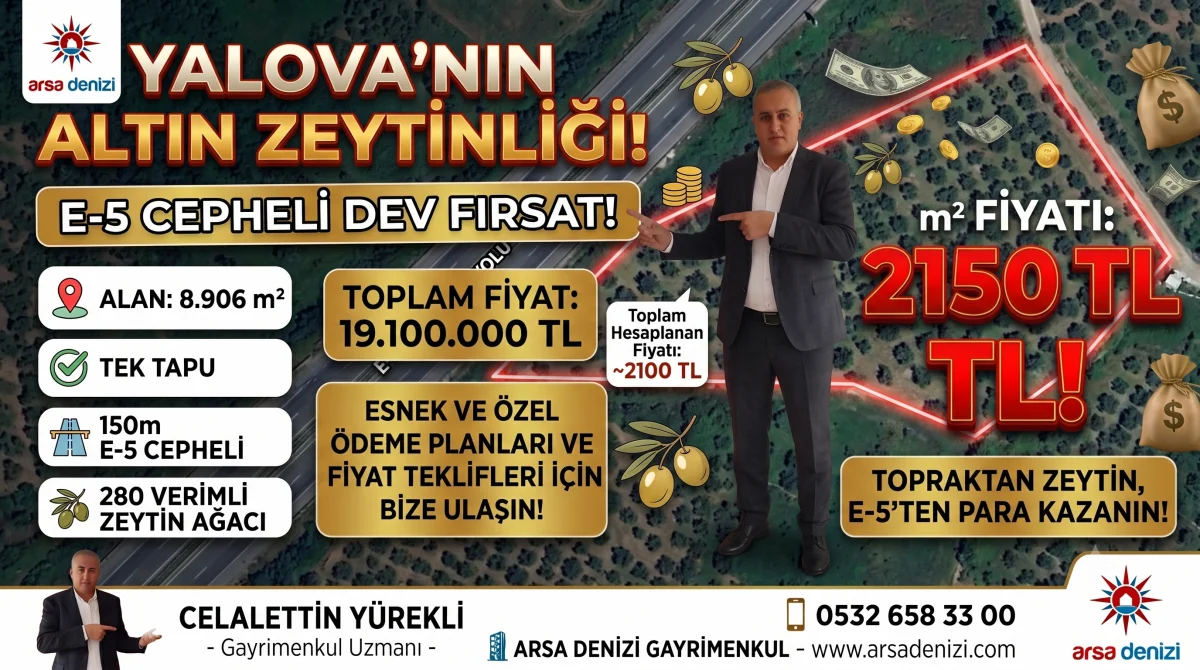 🌿 YALOVA'DA E-5 CEPHELİ, HEM ZEYTİNLİK HEM DEVASA YATIRIM FIRSAT