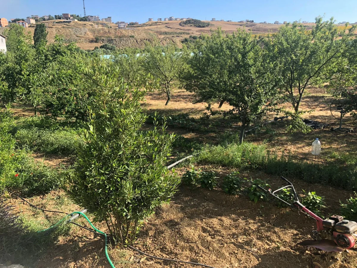 Tekirdağ'da 15 D&ouml;n&uuml;m Arazi İ&ccedil;erisinde Kurulu Satılık &Ccedil;iftlik - Büyük 3