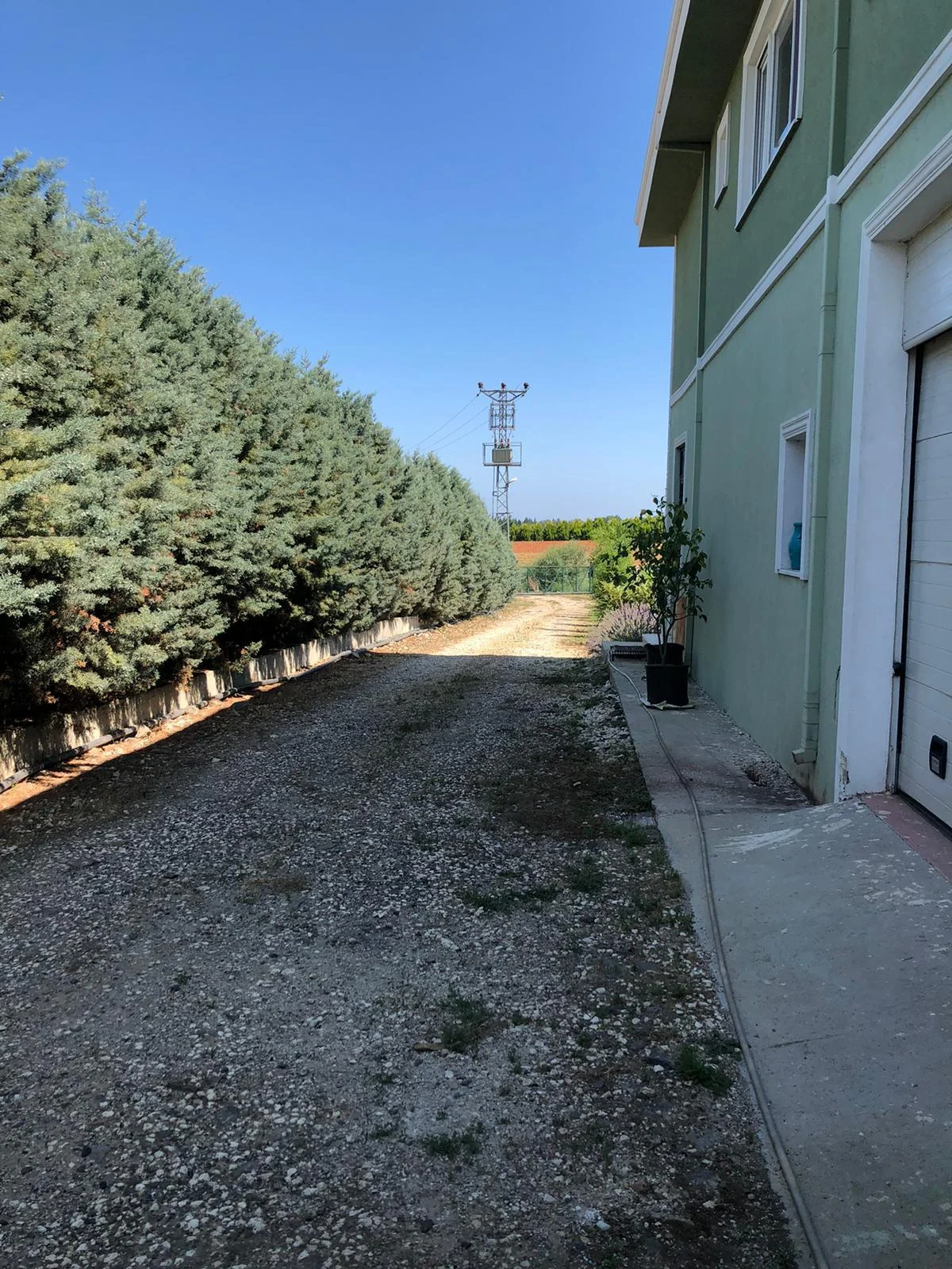 Tekirdağ'da 15 D&ouml;n&uuml;m Arazi İ&ccedil;erisinde Kurulu Satılık &Ccedil;iftlik - Büyük 15