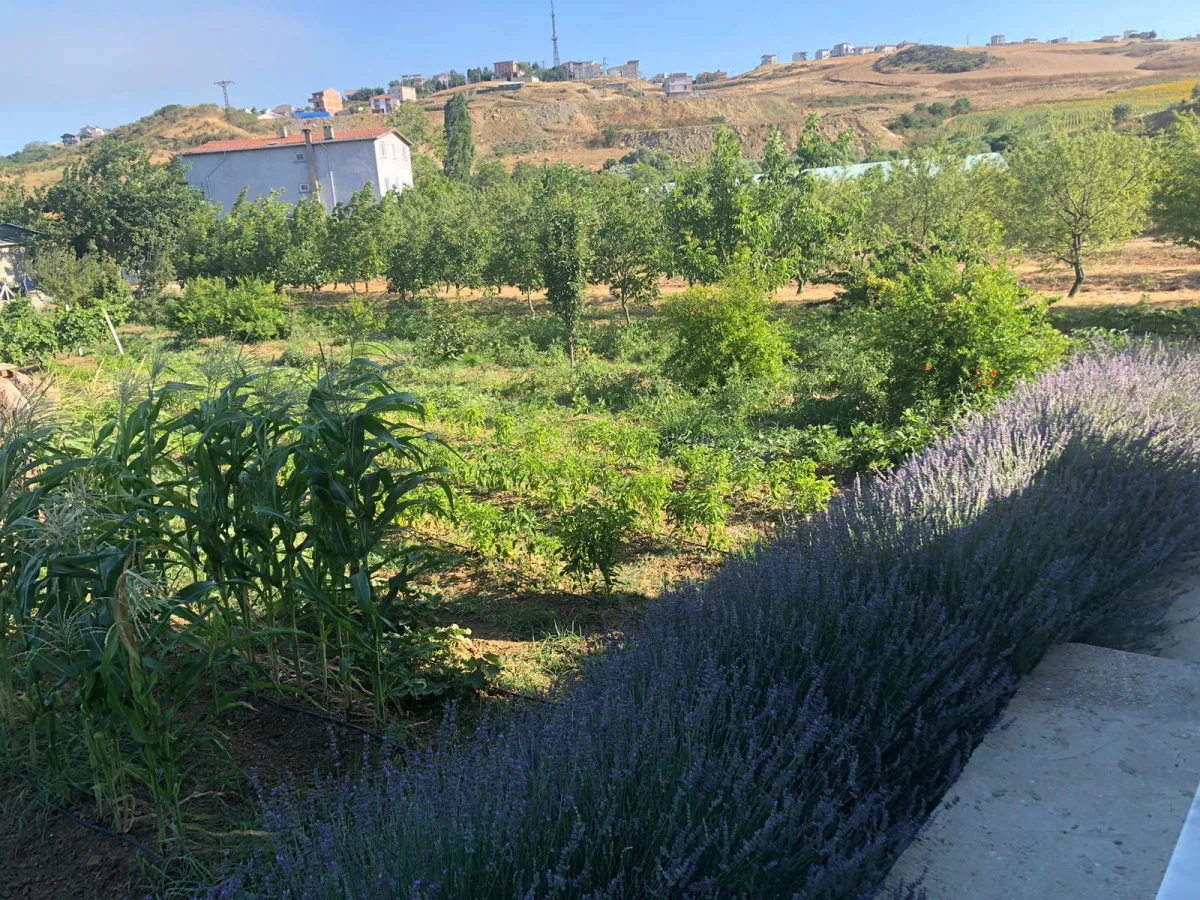 Tekirdağ'da 15 D&ouml;n&uuml;m Arazi İ&ccedil;erisinde Kurulu Satılık &Ccedil;iftlik - Büyük 22