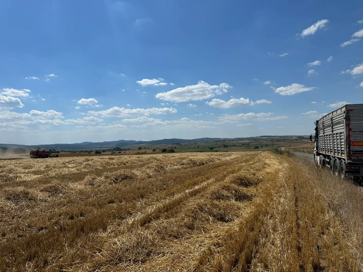Tekirdağ Malkara'da Satılık 57 D&ouml;n&uuml;m Tarla