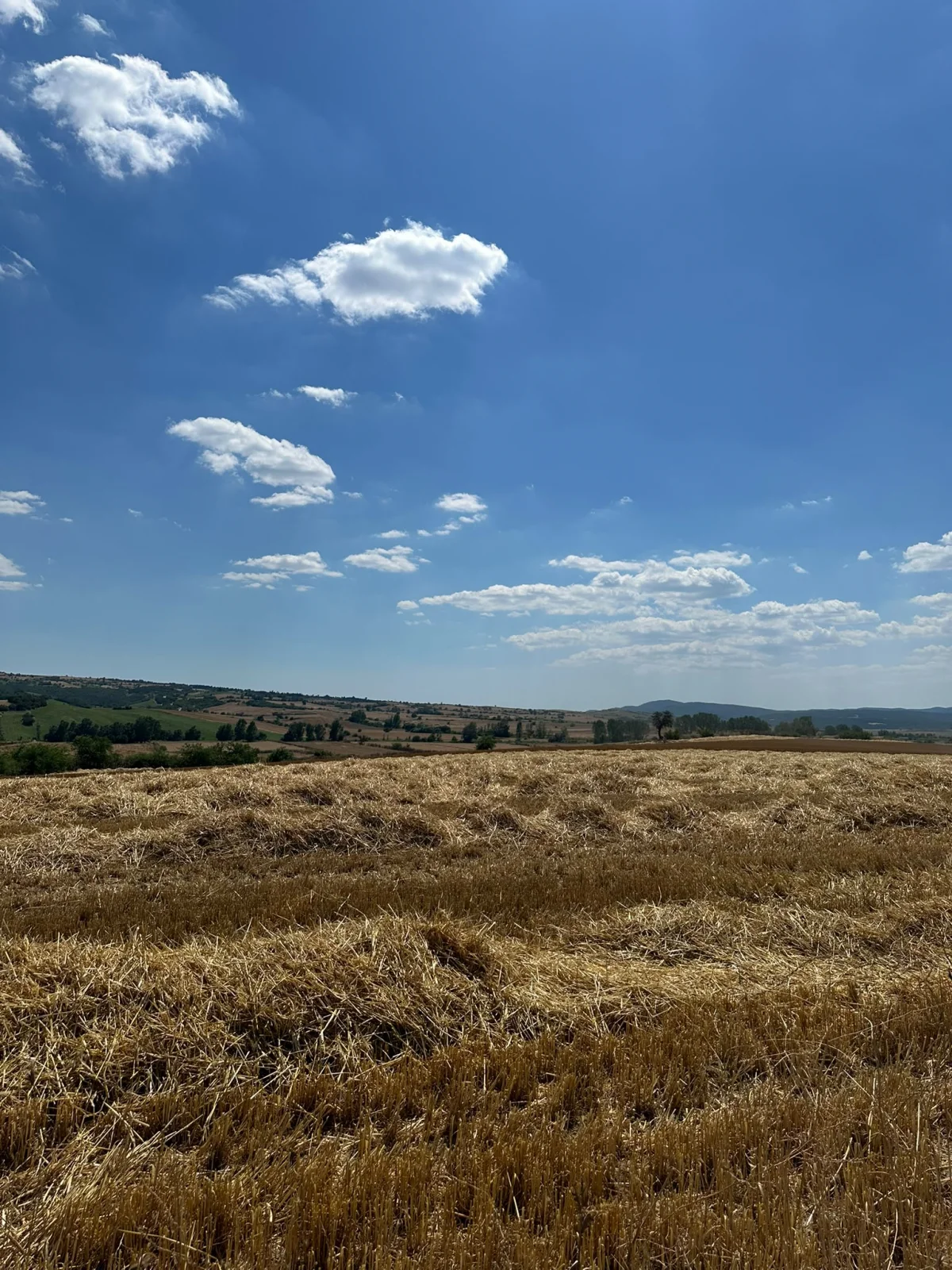 Tekirdağ Malkara'da Satılık 57 D&ouml;n&uuml;m Tarla - Büyük 2