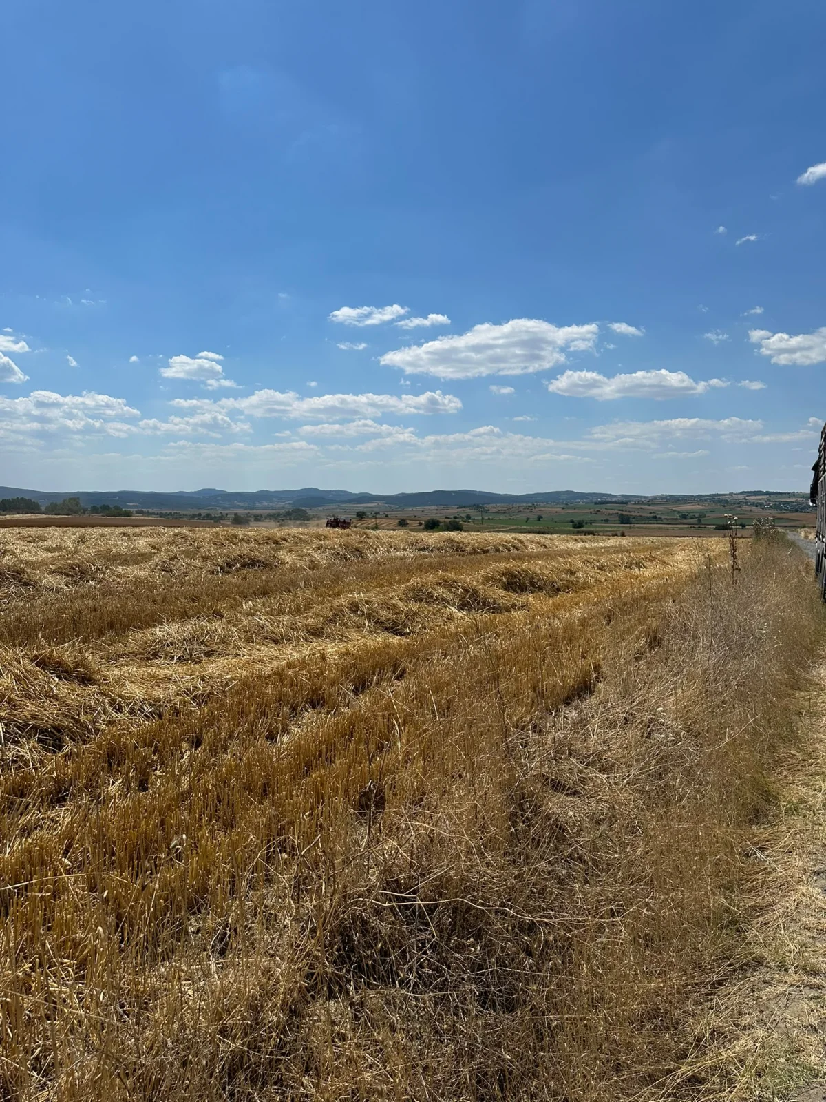 Tekirdağ Malkara'da Satılık 57 D&ouml;n&uuml;m Tarla - Büyük 1